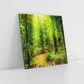 Obraz na płótnie 80x80 - Współistnienie z naturą - drzewa, las