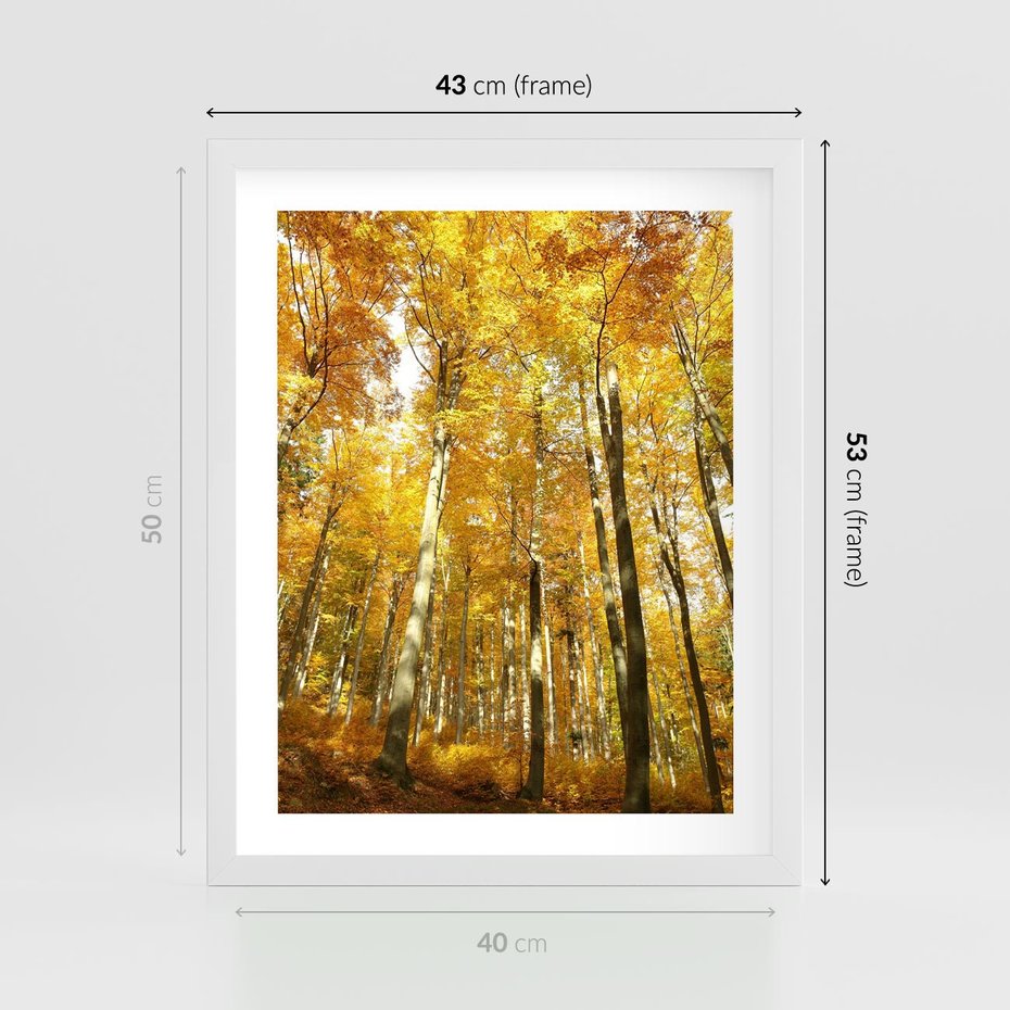 Plakat w ramie 40x50 - Jesienny Las - Kolorowa Paleta Natury - jesień, drzewa - rama biała