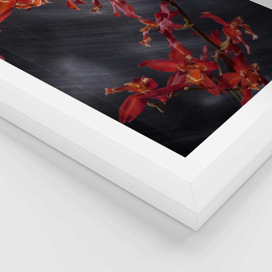 Plakat w ramie 50x70 - Kolorowy Raj - kwiaty, tropikalne - rama biała