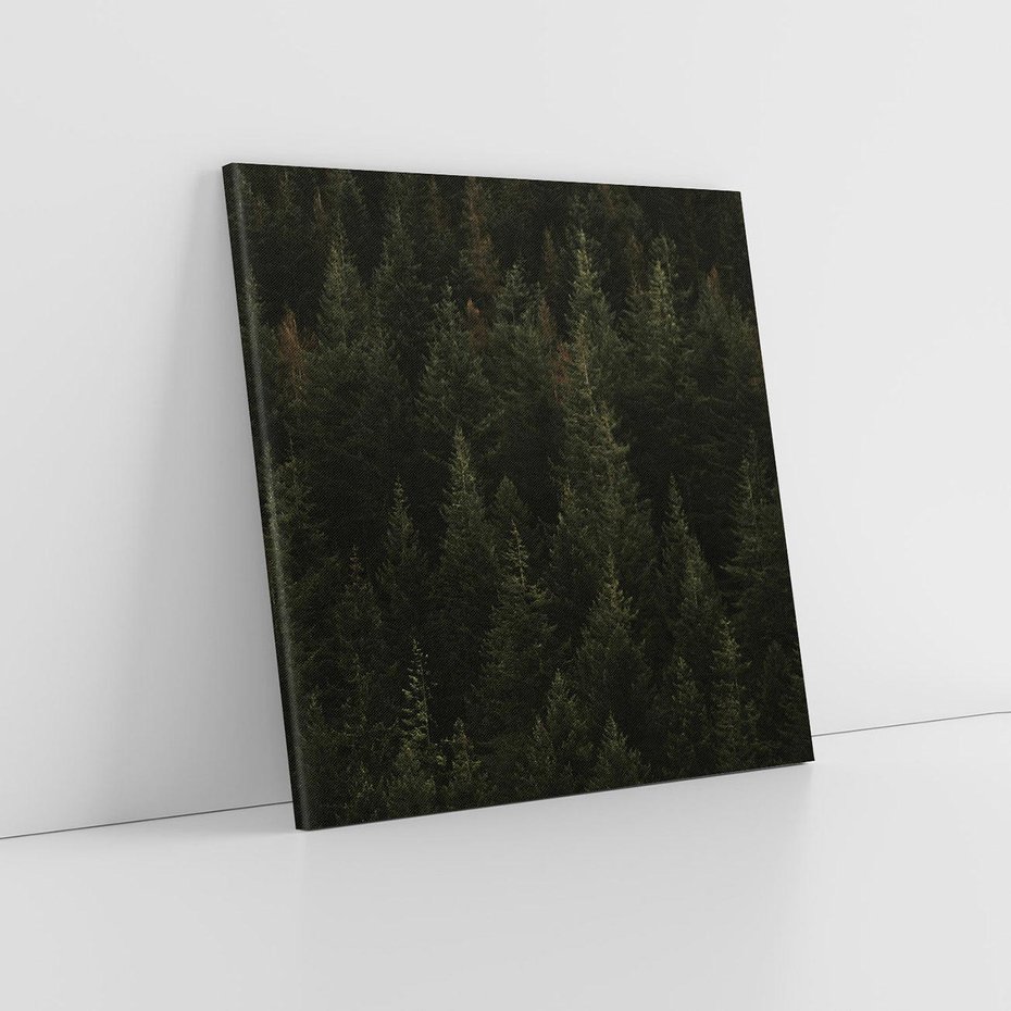 Obraz na płótnie 40x40 - Ciemny las iglasty - las, iglasty