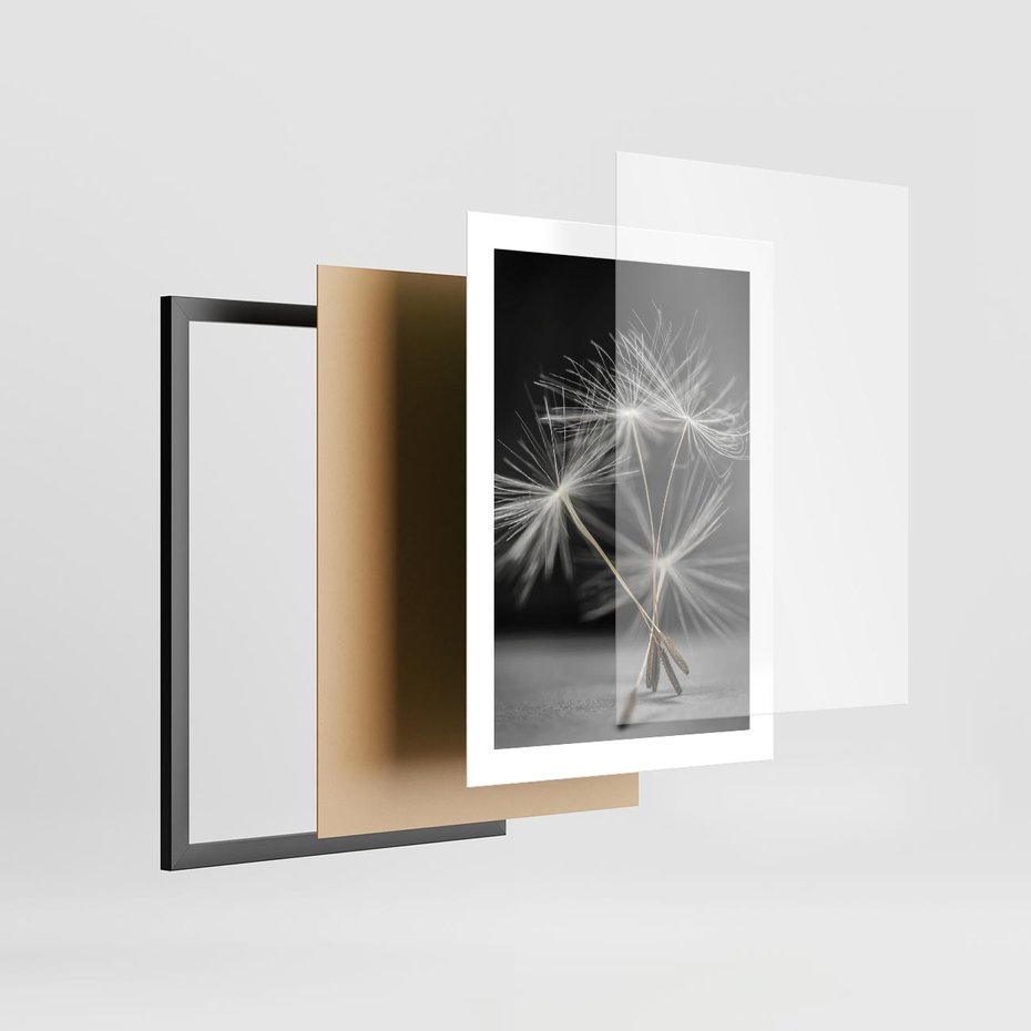 Plakat w ramie 30x40 - Delikatność dmuchawców zbliżenie - dmuchawce, zbliżenie - rama czarna
