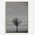 Obraz w ramie 70x100 - Samotne Drzewo - samotne drzewo w polu, czarno białe zdjęcie - rama drewno