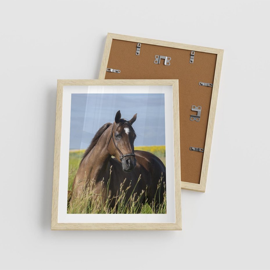 Plakat w ramie 40x50 - Siła i piękno natury - koń, łąka - rama drewno