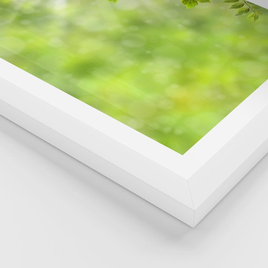 Plakat w ramie 40x50 - Zielone liście natury - liści, zieleń - rama biała