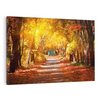 Obraz na płótnie 70x50 - Jesienna Droga: Przechadzka wśród Drzew - jesień, droga