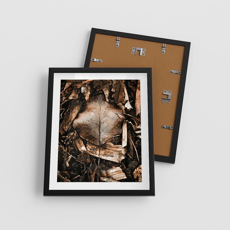 Plakat w ramie 40x50 - Samotny Liść - liść, brąz - rama czarna