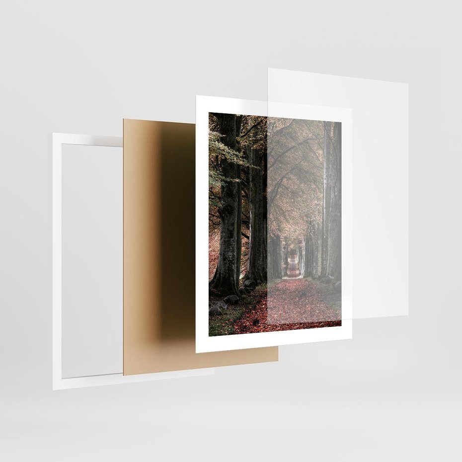 Plakat w ramie 40x50 - Spacer po Leśnej Drodze - ścieżka w lesie, jesień suche liście - rama biała