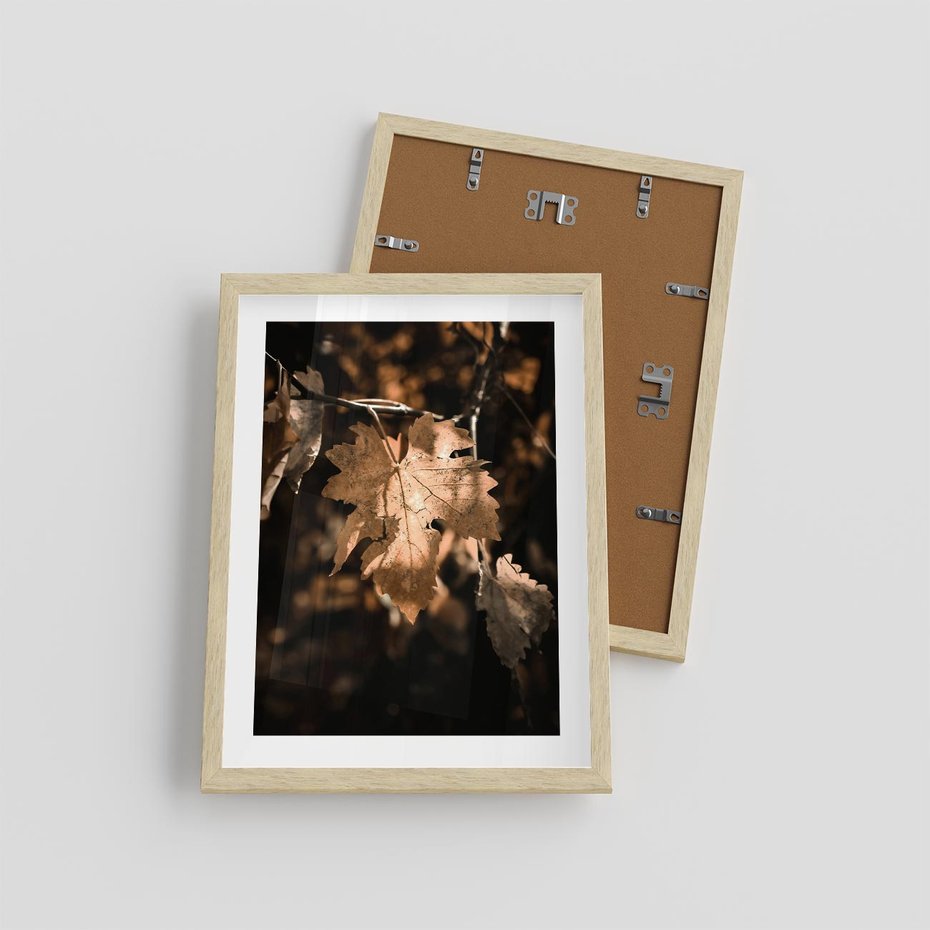 Plakat w ramie 30x40 - Uroczy Liść na Drzewie - jesienny liść, żółty liść na drzewie - rama drewno