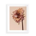 Plakat w ramie 50x70 - Delikatne piękno - suche, kwiaty - rama biała