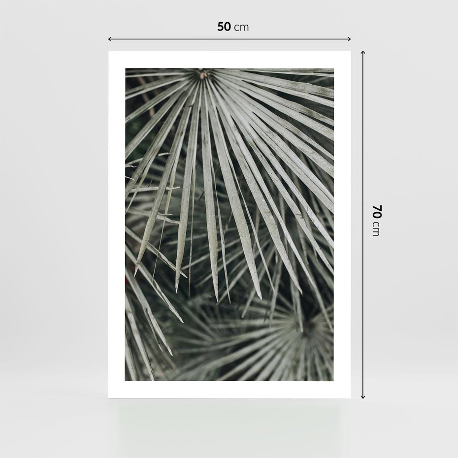 Plakat bez ramy 50x70 - Ujęcie Tropikalnej Natury - palmy, liście palmy