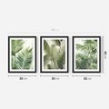 Zestaw obrazy w ramie 30x40 galeria - tropikalne, liście, palmy, bananowiec - rama czarna