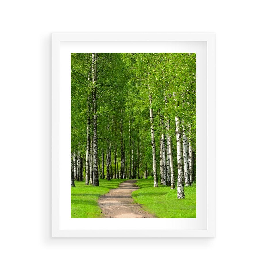 Plakat w ramie 40x50 - Spacer Ścieżką w Urokliwym Lesie - las, ścieżka - rama biała