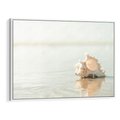 Obraz w ramie 70x50 - Spokój Plaży - fotografia, biała muszla na plaży - rama biała
