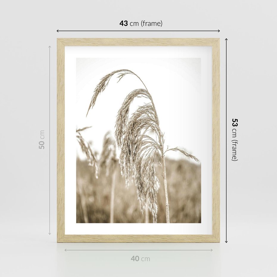 Plakat w ramie 40x50 - Ujęcie Suchych Traw - suche trawy, zbliżenie - rama drewno