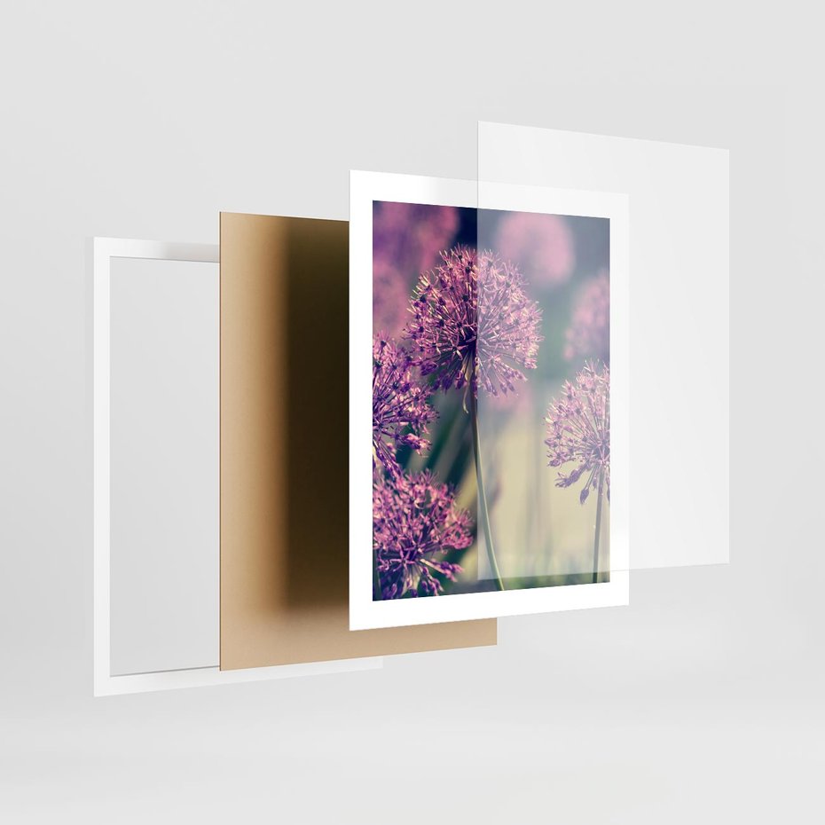 Plakat w ramie 40x50 - Kwiatowa łąka w pełnym rozkwicie - kwiaty, łąka - rama biała