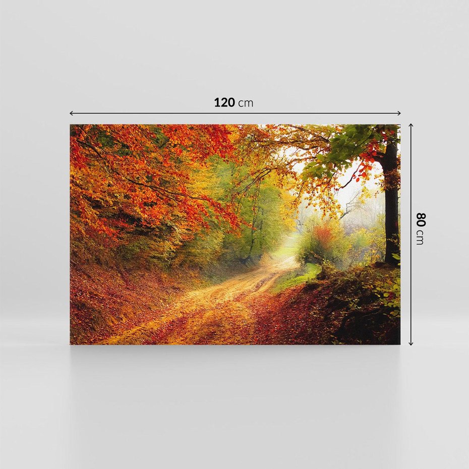 Obraz na płótnie 120x80 - Jesienny urok magia lasu - las, jesień