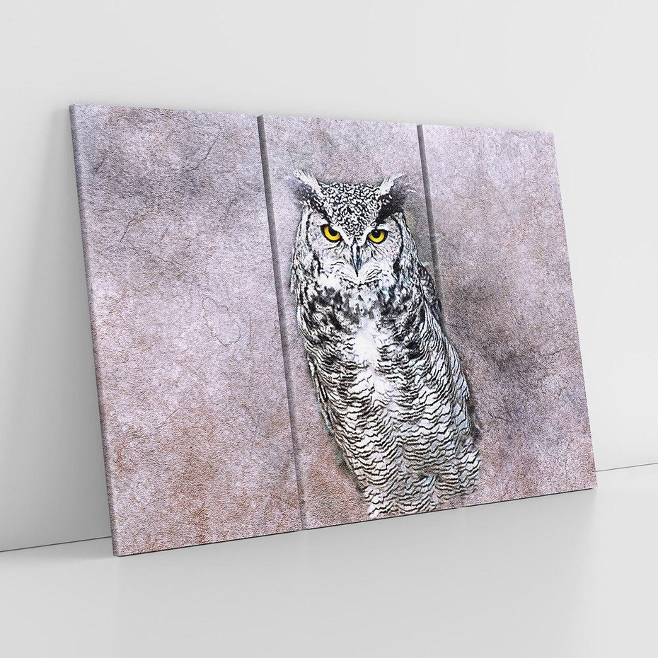 Obraz na płótnie 120x80 - Sztuka abstrakcyjna: Pies - sowa, sztuka