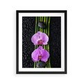 Plakat w ramie 40x50 - Japońskie Spa w Otoczeniu Storczyków - storczyk, spa - rama czarna