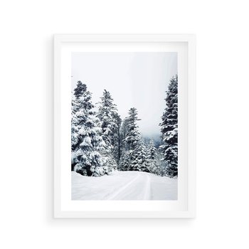 Plakat w ramie 30x40 - Zimowy Las Pod Kołdrą - las, zima - rama biała