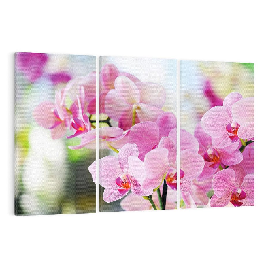 Obraz na płótnie 120x80 - Elegancja orchidei - orchidea, kwiaty