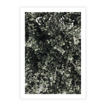 Plakat bez ramy 21x30 - Jasnozielone Liście i Gałązki - liście, gałązki