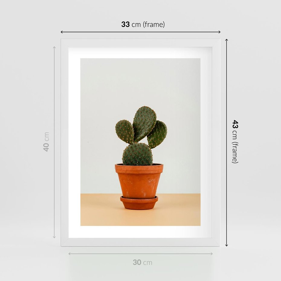 Plakat w ramie 30x40 - Kwiatowy taniec kaktusa - kaktus, kwiat - rama biała