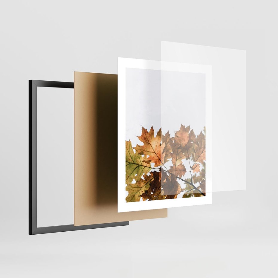 Plakat w ramie 40x50 - Suche Żółte Liście w Malowniczym Ujęciu - liście, żółte - rama czarna