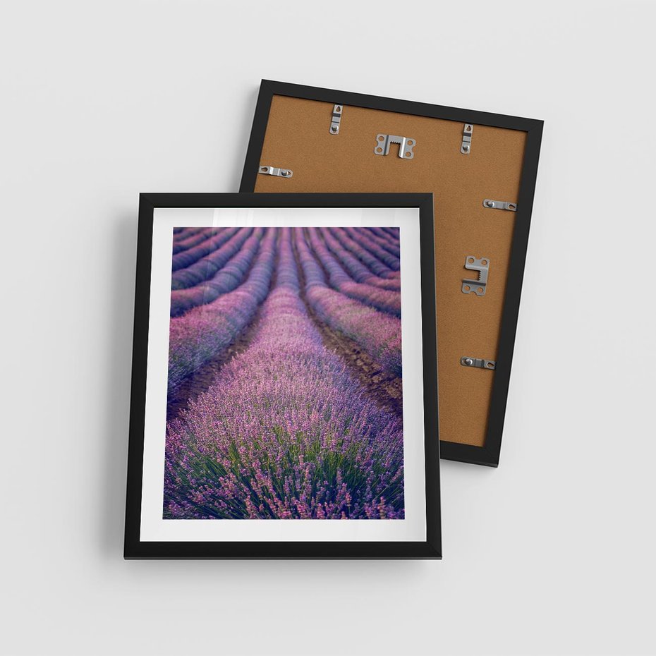 Plakat w ramie 40x50 - Pole Lawendy w Pełnej Krasie - pole lawendy, kompozycja - rama czarna