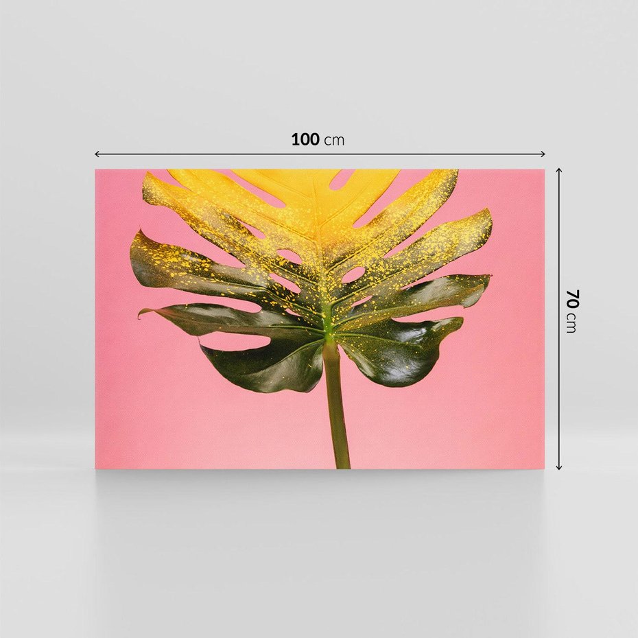 Obraz na płótnie 100x70 - Majestatyczna monstera - monstera, liść