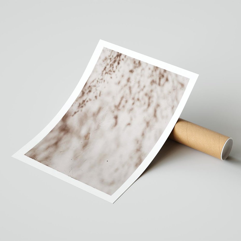 Plakat bez ramy 21x30 - Cień Gałęzi - beżowa ściana, cień gałęzi