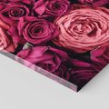 Obraz na płótnie 70x100 - Róże - piękno kwiatów - róże, kwiaty
