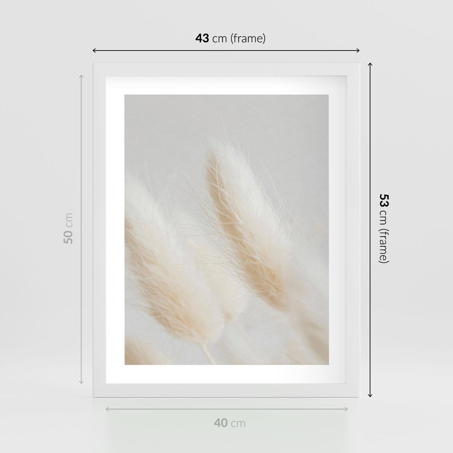 Plakat w ramie 40x50 - Czysty Minimalizm - białe trawy, minimalizm - rama biała