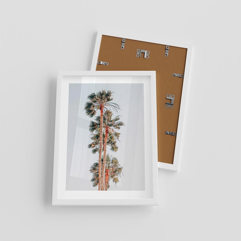 Plakat w ramie 30x40 - Kształty Palm - palmy, zdjęcie - rama biała
