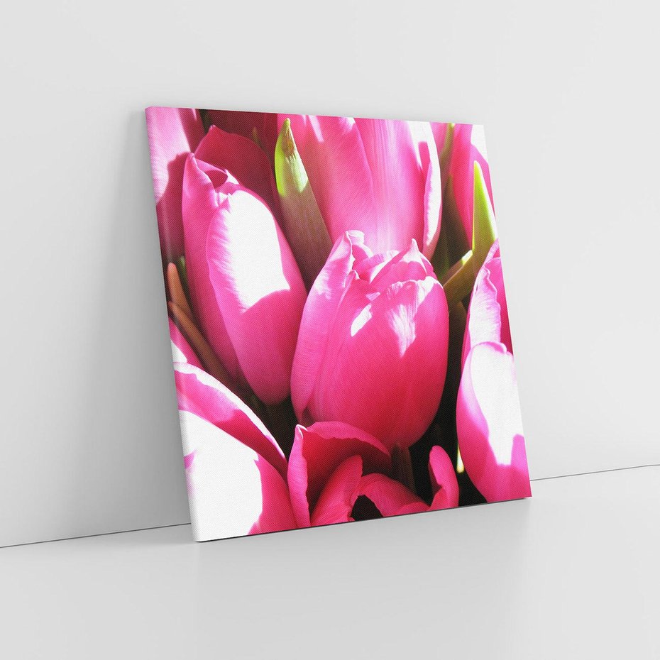 Obraz na płótnie 60x60 - Tulipany w pejzażu - tulipany, kwiaty