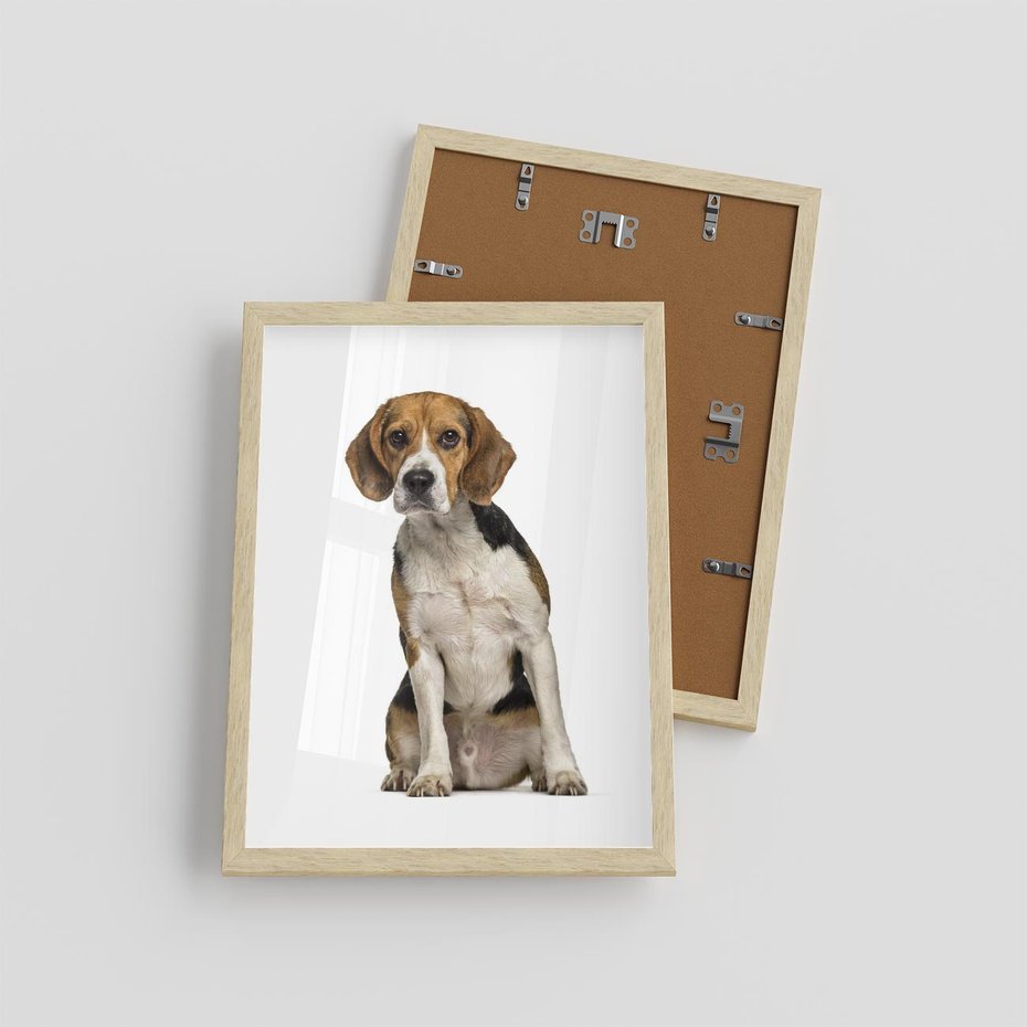 Plakat w ramie 30x40 - Wierność i radość - pies, piesek - rama drewno