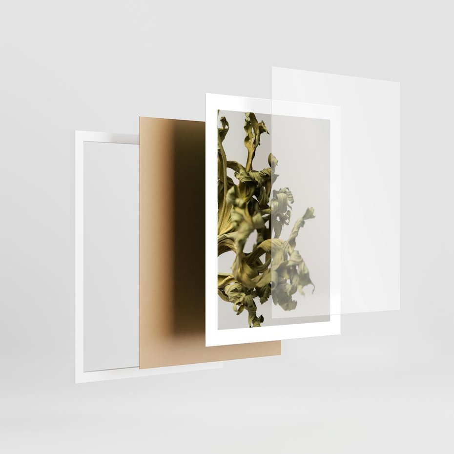 Plakat w ramie 30x40 - Odejście pory deszczowej - suche, trawy - rama biała