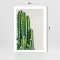 Plakat bez ramy 50x70 - Minimalistyczne Kaktusy na Białym Tle - kaktusy, minimalistyczna fotografia