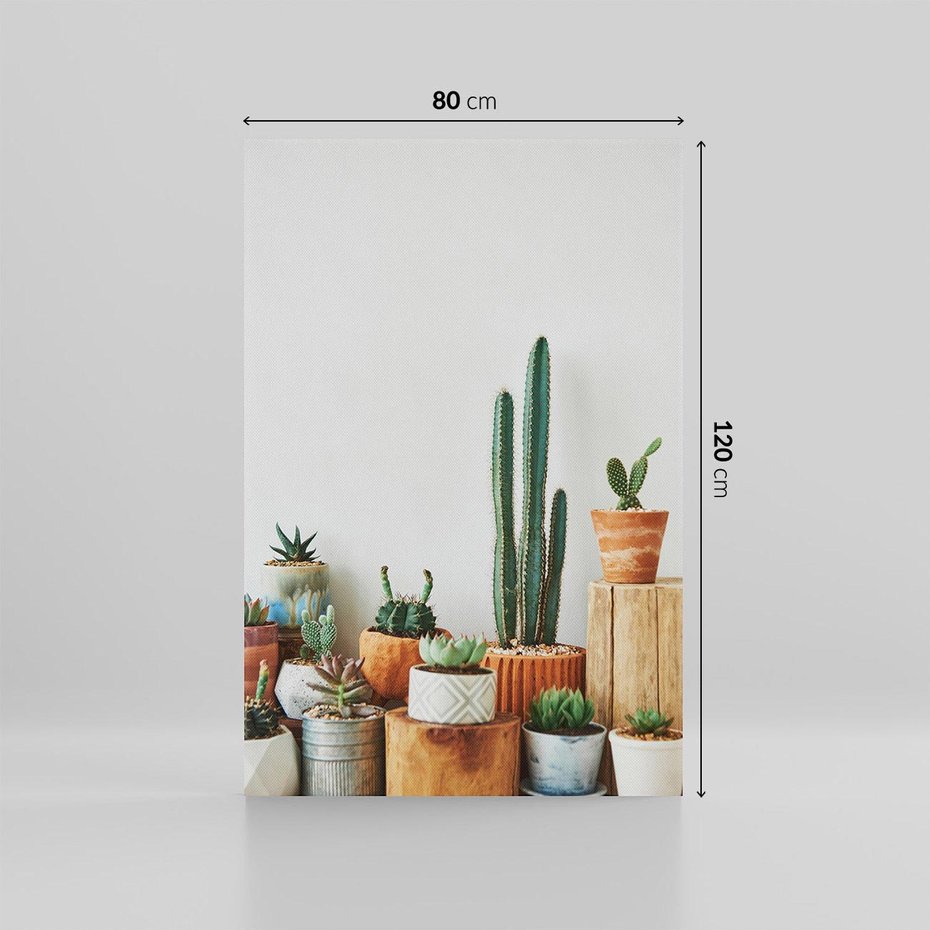 Obraz na płótnie 80x120 - Naturalna Harmonia - kaktusy, liście
