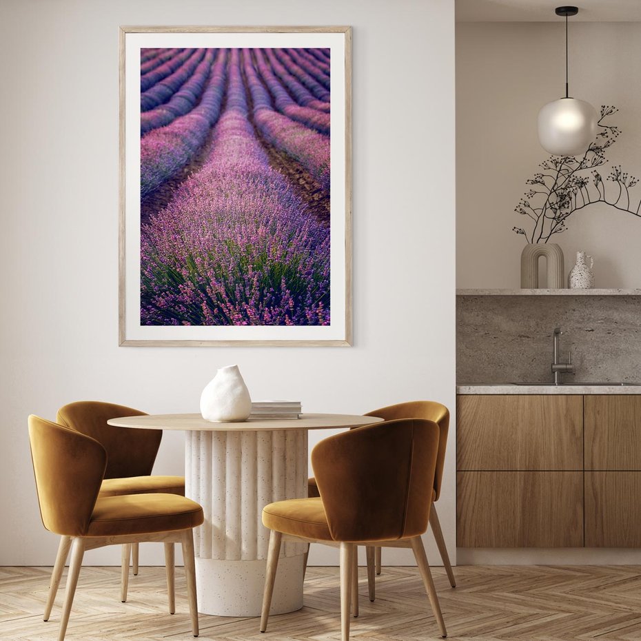 Plakat w ramie 50x70 - Pole Lawendy w Pełnej Krasie - pole lawendy, kompozycja - rama drewno
