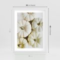 Plakat w ramie 30x40 - Jesienne Dynie: Delikatna Kompozycja - białe dynie, jasna kompozycja - rama biała