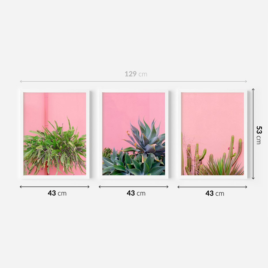 Zestaw obrazy w ramie 40x50 galeria - Liście, kaktusy, rośliny, pastele, retro - rama biała