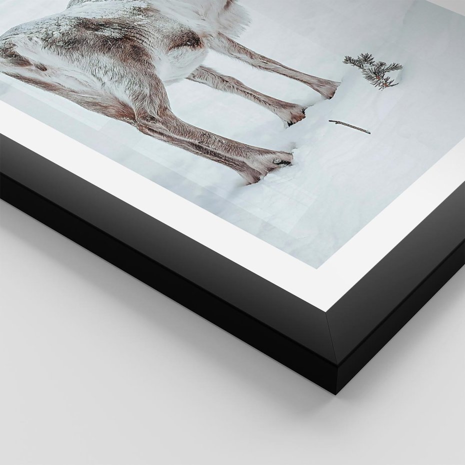 Plakat w ramie 50x70 - Magia Świąt - renifer na śniegu, śnieg - rama czarna