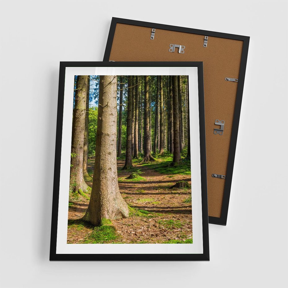 Plakat w ramie 50x70 - Las: harmonia natury - las, drzewa - rama czarna
