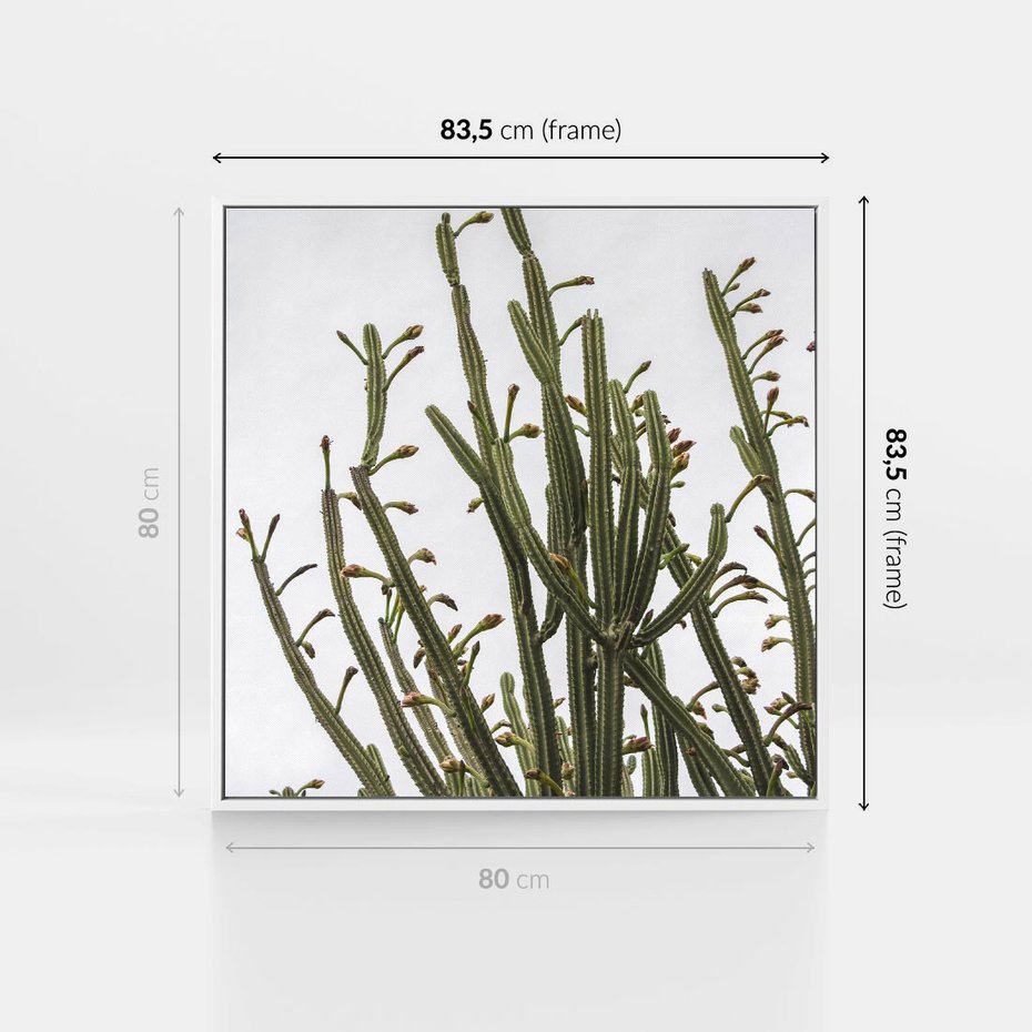 Obraz w ramie 80x80 - Ekskluzywna Roślinność - kaktusy, liście - rama biała