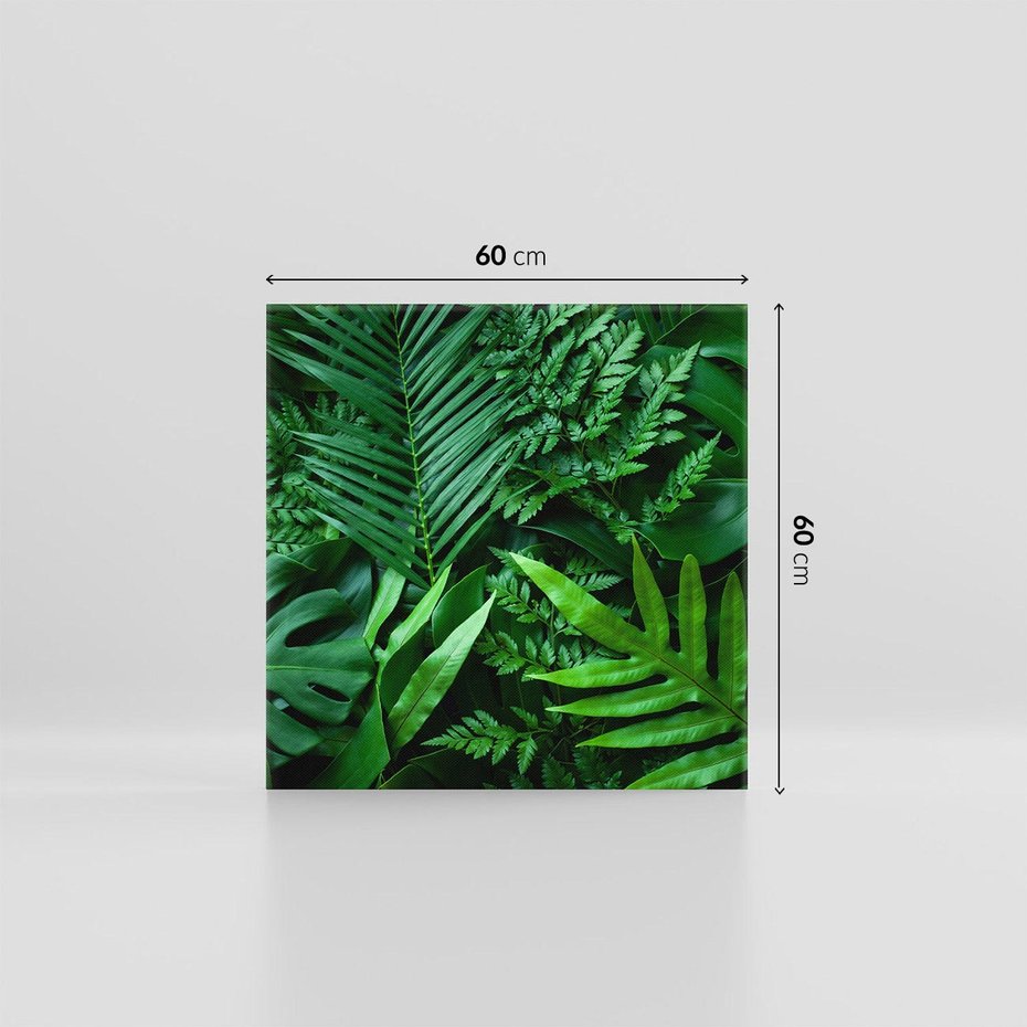 Obraz na płótnie 60x60 - Monstera Liście Fantazja - monstera, liście