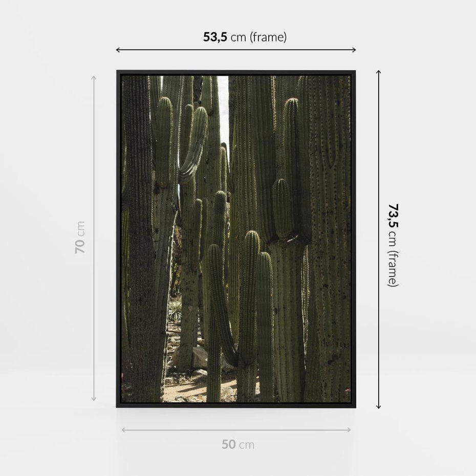 Obraz w ramie 50x70 - Wyjątkowy Klimat Boho - kaktusy, pustynia - rama czarna