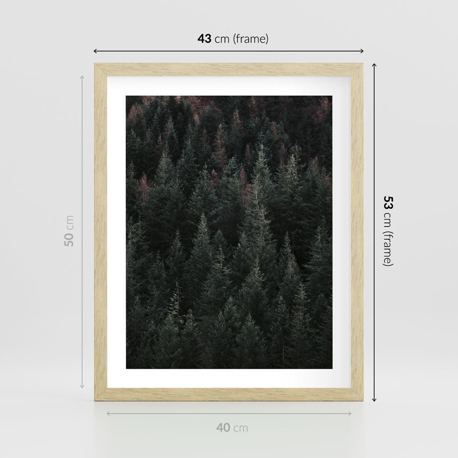 Plakat w ramie 40x50 - Wysoko nad Iglastym Lasem - las, perspektywa - rama drewno