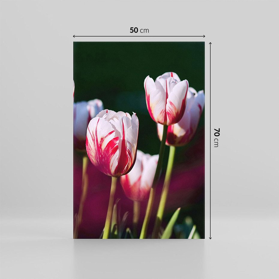 Obraz na płótnie 50x70 - Kwiatowy raj w naturze - kwiat, kwiaty