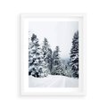 Plakat w ramie 40x50 - Zimowy Las Pod Kołdrą - las, zima - rama biała
