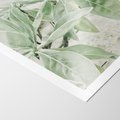 Plakat bez ramy 50x70 - Jasnozielone Liście w Kompozycji - liście, jasna zieleń